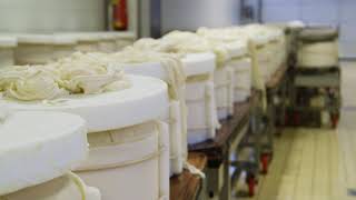 Murrays Cheese How Its Made Parmigiano Reggiano [upl. by Dosia]