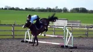 Epic fail horse  caduta da cavallo divertente [upl. by Ricki]