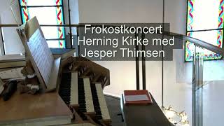 Frokostkoncert i Herning Kirke 3 [upl. by Ettenel539]