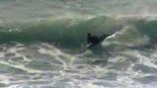 Quiberon bodyboard sauvage [upl. by Dulcea994]