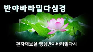 반야심경 독송 범철스님  밝은 지혜에 이르는 부처님 말씀  21독 확장판 [upl. by Akenahs]