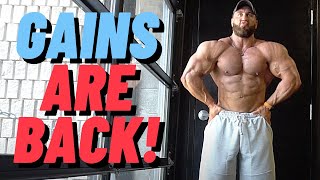 SICK CHEST PUMP ft BIG MIKE VAN WYCK [upl. by Atirihs]