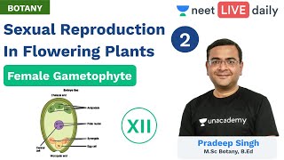 NEET Sexual Reproduction in Flowering Plants  L 2  Unacademy NEET  Class 12  Pradeep Sir [upl. by Armond]