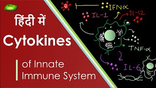 Cytokines क्या होते हैं समझिए  IL1 6 12 Cytokines  Basic Science Series Hindi [upl. by Solorac]