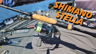 New Shimano Stella vs New Daiwa Saltiga Casting competition [upl. by Jadda]