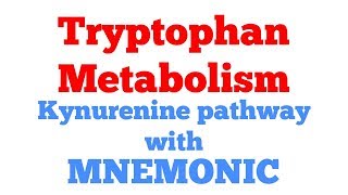 Tryptophan metabolism with Mnemonic  Kynurenine anthranilic acid pathway  Biochemistry [upl. by Eph454]