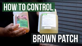 How to Control Brown Patch Fungus with Honor Guard PPZ Fungicide Propiconazole [upl. by Asor892]