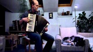 Accordion Tango  La Cumparsita Easy version [upl. by Yerdua]