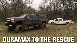 How does a Pavement Princess Do in the MUD [upl. by Lymann]