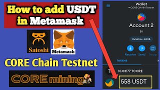 How to add USDT in Metamask  How to import USDT token in Metamask wallet  Satoshi CORE Mining [upl. by Lenuahs]