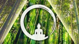 Japanese Shakuhachi 尺八 Music 1 Hour Relaxing Bamboo Flute amp Zen Music for Yoga Relaxation 085 [upl. by Mandel]