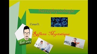 01 Le Reflexe myotatique  Neurophysiologie Bac Tunisie [upl. by Vasti]