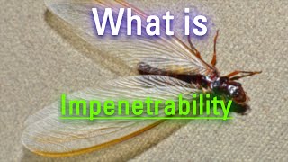 What is Impenetrability  How Does Impenetrability Look  How to Say Impenetrability in English [upl. by Kienan]