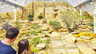 Worlds Largest Uromastyx Enclosure Tour [upl. by Atyekram32]