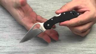 EntryLevel EDC Knife Byrd Meadowlark 2 G10 [upl. by Annis904]