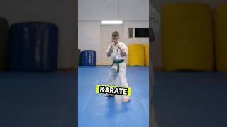 Karate ShitoRyus Dynamic Kata shorts [upl. by Oluap]