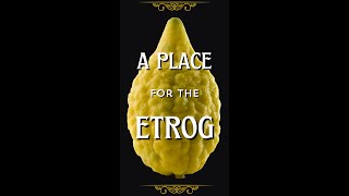 A Place for the Etrog [upl. by Joh100]