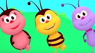 The Hokey Pokey Dance  Songs For Kids amp Nursery Rhymes  Boogie Bugs [upl. by Boak733]