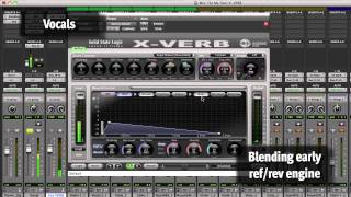 SSL flexverb [upl. by Euqinamod]