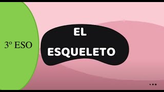 ESQUELETO 3º ESO [upl. by Airotcivairam]