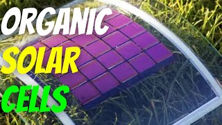 Everything You Need To Know About Organic Solar Cells 2024  AIAutomated [upl. by Lienet458]