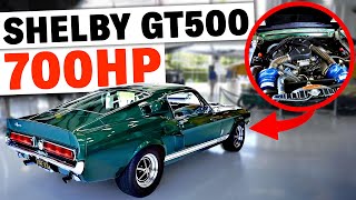 700HP Twin Supercharged Shelby GT500 Worth as much as a Super Snake  Appraiser [upl. by Wemolohtrab]