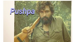 Pushpa  South Indian movies  Hindi dubbed alluarjun rashmikamandanna [upl. by Michel]