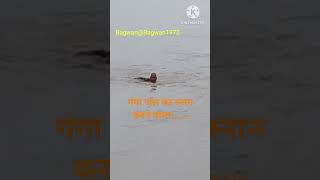 गंगा स्नान का फल  Ganga Snan Bagwan1973 ganga gangasnan motivation naamjap katha premanand [upl. by Aleehs]