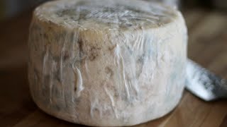 How To Make A WheyCultured ManchegoStyle Cheese [upl. by Doralin]