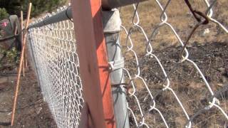 Home Improvement Tip Fast and Affordable Fence Trick [upl. by Lottie197]