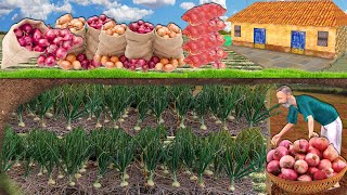 Underground Secret Tunnel Onion Farming Kisan Hindi Kahaniya Hindi Moral Stories Funny Comedy Video [upl. by Truscott]