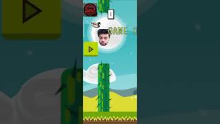 flappy bird gameplay in mobile and flappy bird like game of ducky bhai is ducky duck 😂 gameplay [upl. by Zarihs]