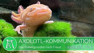 Das Eisbergmodell nach Freud einfach erklärt [upl. by Janaye]