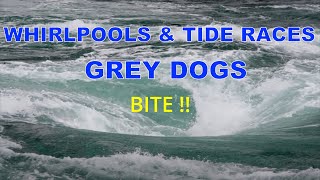 Sea Kayaking Tide Races Grey Dogs WhirlpoolsBite [upl. by Elaine61]