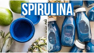 Using Spirulina in our Juices [upl. by Lapotin492]