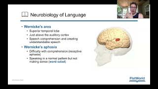 Chapter 7 Neurobiology of language and lateralization [upl. by Aip]