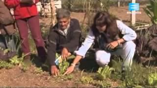 CURSO DE HUERTA CLASE 1 PRINCIPIOS Y CARACTERISTICAS DE UNA HUERTA ORGÁNICA [upl. by Fording]