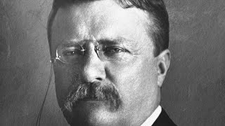 The Theodore Roosevelt Song [upl. by Mccready]