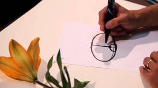 How to draw plants Foreshortening2 47 [upl. by Robaina]