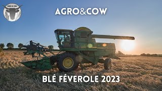 MOISSONS de Blé Féverole 2023🌾  4K [upl. by Nodnarbal]