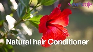 DIY  Hibiscus Hair Conditioner  Dry Hair Treatment [upl. by Ellemaj]