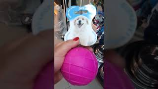 Wobble wag giggle ball noisy toy for the dog to play shorts [upl. by Daveta]