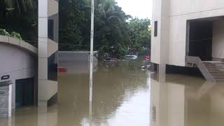 Inside Akshaya Apartments Urapakkam to Guduvanchery GST Road During Chennai Flood 2015 [upl. by Annaili945]