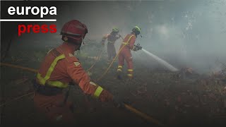 Se estabiliza el incendio forestal de la localidad valenciana de Ribarroja del Turia [upl. by Gnay724]