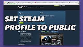 How to set your steam profile to public for SKINS  BETTING [upl. by Rotow]