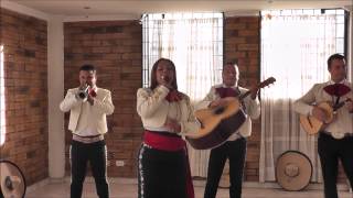 mariachis bogota Cancion para la Mamá es mi Madre [upl. by Eiramllij]