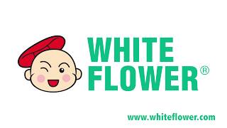 Hoe Hin White Flower Embrocation  Production [upl. by Aerehs]