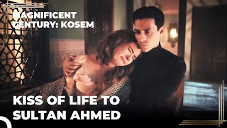 Lovely Moments of Ahmed and Anastasia  Magnificent Century Kosem [upl. by Frazer]