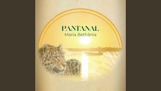 Pantanal [upl. by Alil]