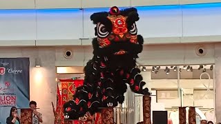 Kwong Ngai Acrobatic Lion Dance [upl. by Notsuh]